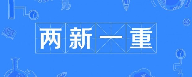 两新一重是指什么