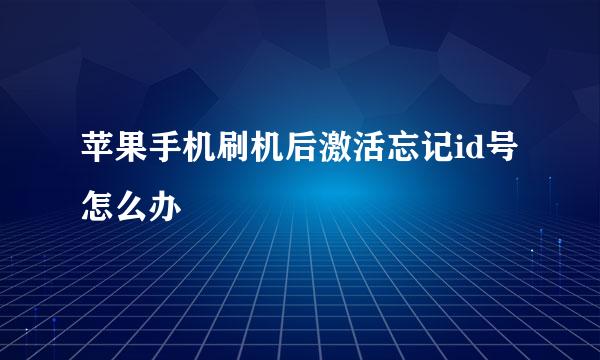 苹果手机刷机后激活忘记id号怎么办