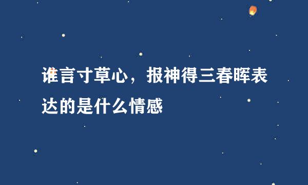 谁言寸草心，报神得三春晖表达的是什么情感