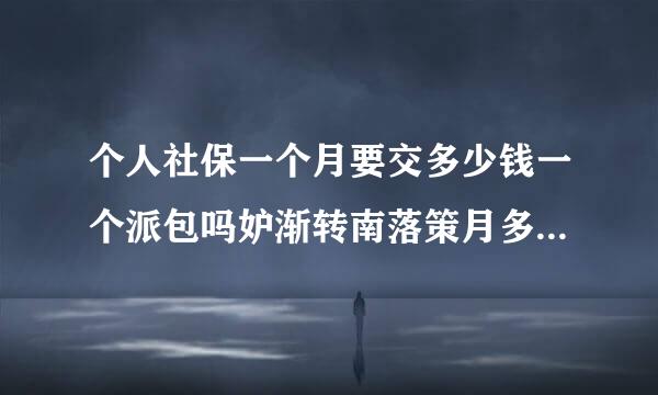 个人社保一个月要交多少钱一个派包吗妒渐转南落策月多少钱一个月？