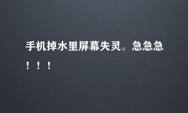 手机掉水里屏幕失灵。急急急！！！