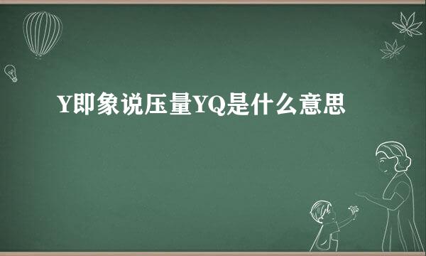 Y即象说压量YQ是什么意思