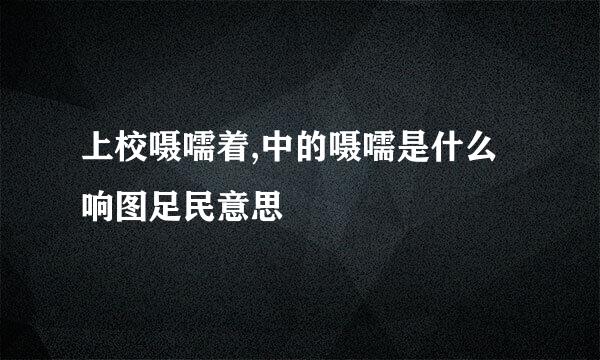 上校嗫嚅着,中的嗫嚅是什么响图足民意思