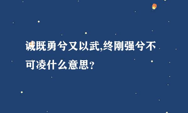 诚既勇兮又以武,终刚强兮不可凌什么意思？