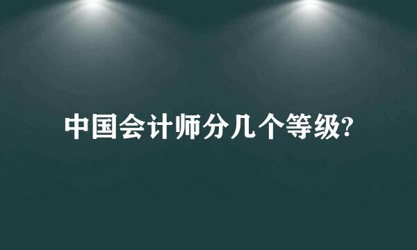 中国会计师分几个等级?