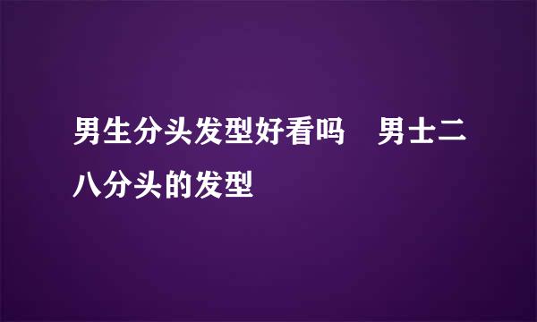 男生分头发型好看吗 男士二八分头的发型