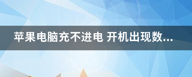 苹果电脑充不进电