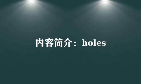 内容简介：holes