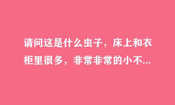 请问这是什么虫子，床上和衣柜里很多，非常非常的小不仔细看都看不到它，这个虫子对人身体有害吗，床上很