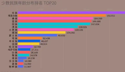 少数民族人口是多少？