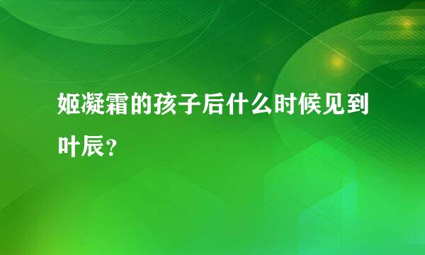 姬凝霜的孩子后什么时候见到叶辰？