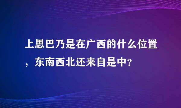 上思巴乃是在广西的什么位置，东南西北还来自是中？