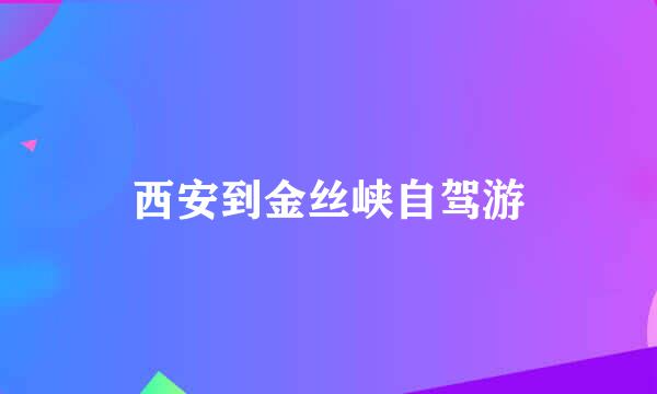 西安到金丝峡自驾游