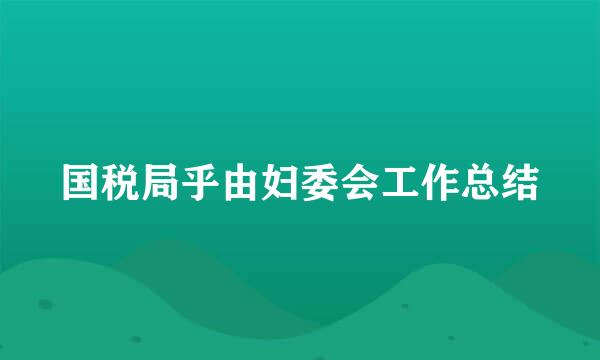 国税局乎由妇委会工作总结