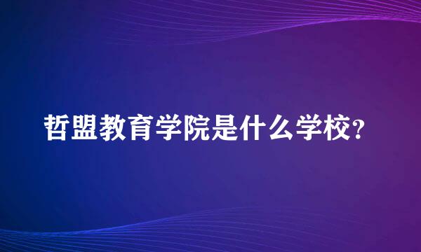 哲盟教育学院是什么学校？