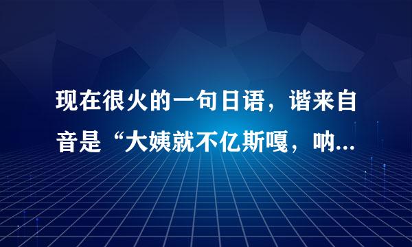 现在很火的一句日语，谐来自音是“大姨就不亿斯嘎，呐呐米”，什么意思啊