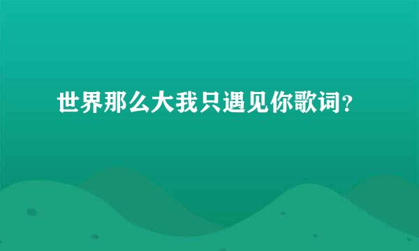 世界那么大我只遇见你歌词？