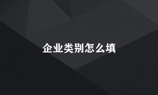 企业类别怎么填