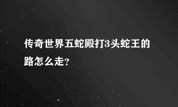 传奇世界五蛇殿打3头蛇王的路怎么走？