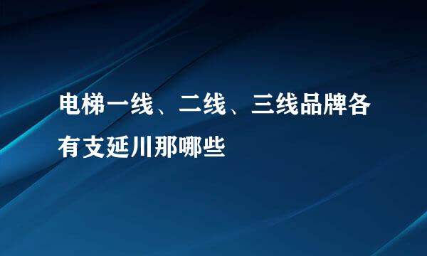 电梯一线、二线、三线品牌各有支延川那哪些