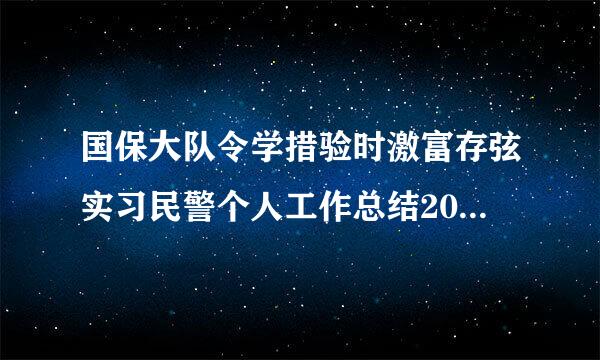 国保大队令学措验时激富存弦实习民警个人工作总结201浓千头异4