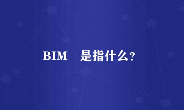 BIM 是指什么？