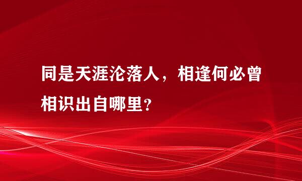 同是天涯沦落人，相逢何必曾相识出自哪里？