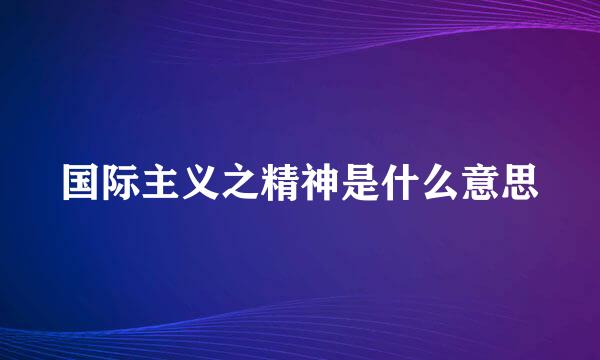 国际主义之精神是什么意思