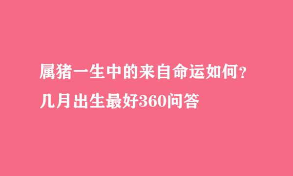 属猪一生中的来自命运如何？几月出生最好360问答