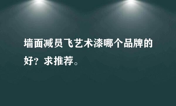 墙面减员飞艺术漆哪个品牌的好？求推荐。