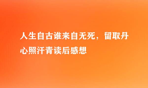 人生自古谁来自无死，留取丹心照汗青读后感想