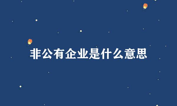 非公有企业是什么意思