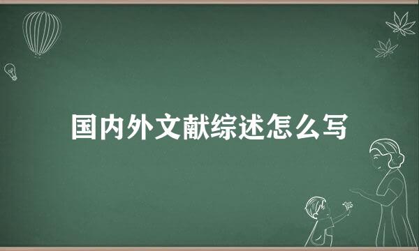 国内外文献综述怎么写