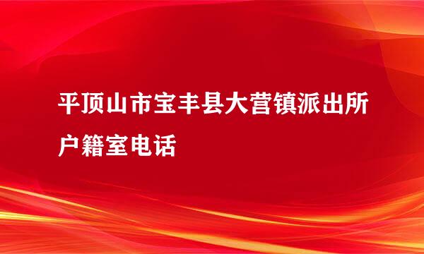 平顶山市宝丰县大营镇派出所户籍室电话