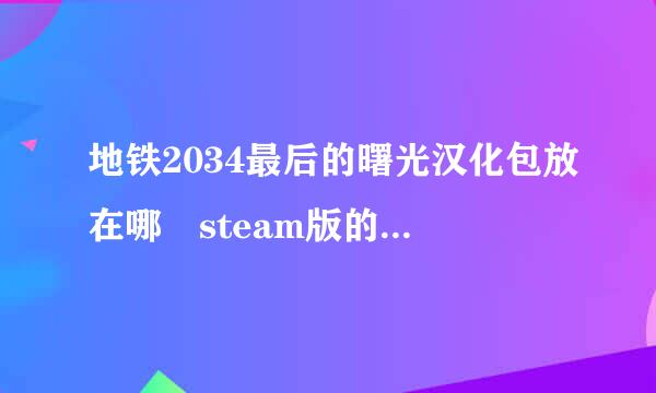 地铁2034最后的曙光汉化包放在哪 steam版的，不知道放在哪，3dm上下的汉化