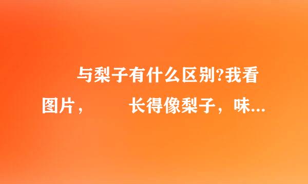 榲桲与梨子有什么区别?我看图片，榅桲长得像梨子，味道也差不多，到底它们有什么区别?