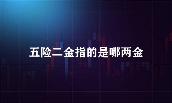 五险二金指的是哪两金