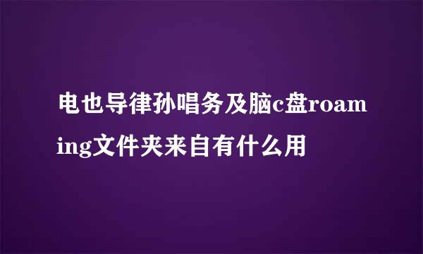 电也导律孙唱务及脑c盘roaming文件夹来自有什么用