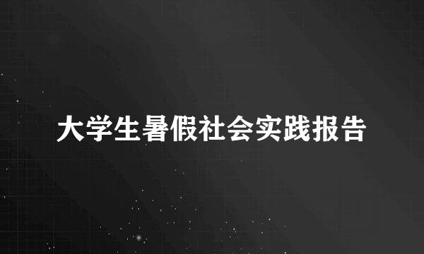 大学生暑假社会实践报告