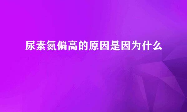 尿素氮偏高的原因是因为什么