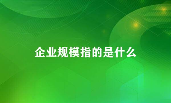 企业规模指的是什么