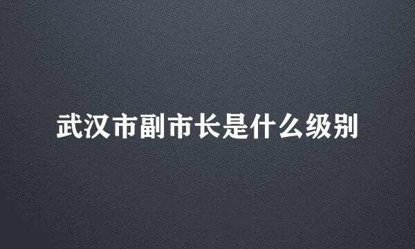 武汉市副市长是什么级别