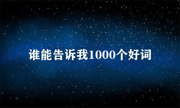 谁能告诉我1000个好词