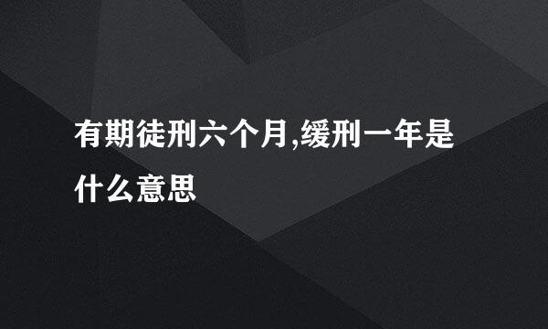 有期徒刑六个月,缓刑一年是什么意思