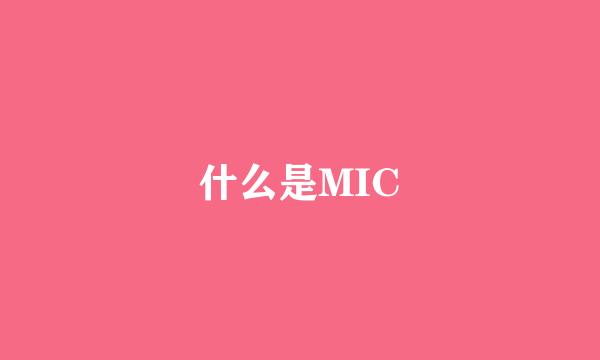 什么是MIC