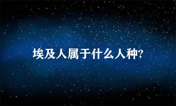 埃及人属于什么人种?