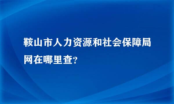 鞍山市人力资源和社会保障局网在哪里查？