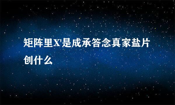 矩阵里X'是成承答念真家盐片创什么