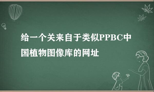 给一个关来自于类似PPBC中国植物图像库的网址