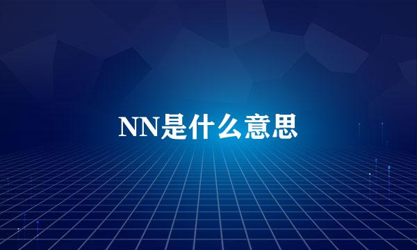 NN是什么意思